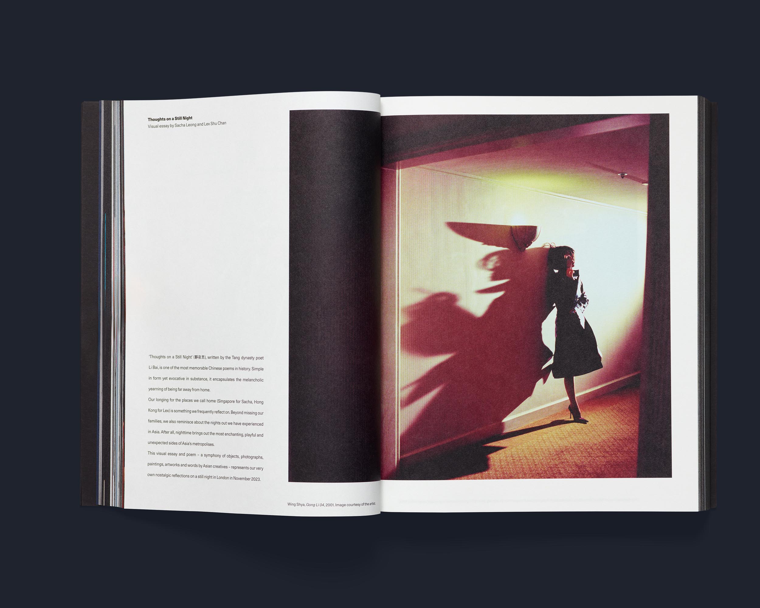 Acne Paper - Nocturne. Issue 19, S/S 2024